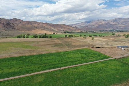 Nevada Ranch Land Farm Water Rights Horse Property For Sale - image 7