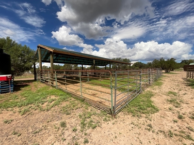 Home with Horse Facilities for Sale Northern Arizona - image 15