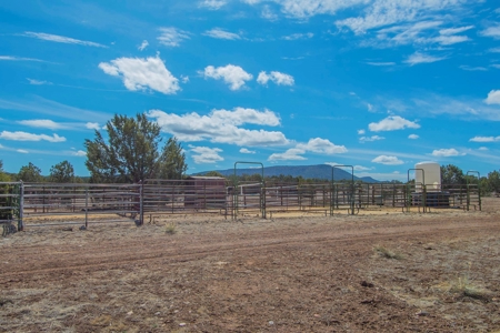 Home with Horse Facilities for Sale Northern Arizona - image 28