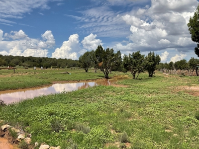Home with Horse Facilities for Sale Northern Arizona - image 18