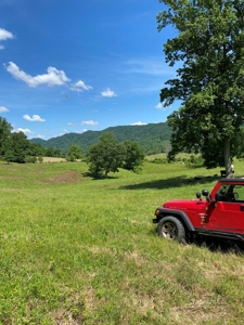 55.5 Surveyed Acres in Sneedville, TN For Sale - image 6