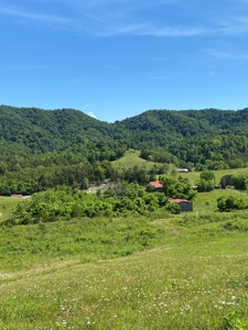 55.5 Surveyed Acres in Sneedville, TN For Sale - image 16