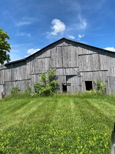 55.5 Surveyed Acres in Sneedville, TN For Sale - image 3