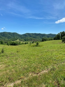 55.5 Surveyed Acres in Sneedville, TN For Sale - image 5