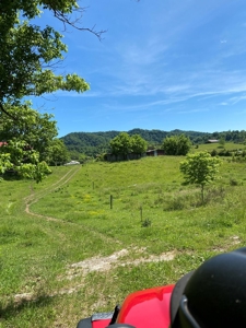 55.5 Surveyed Acres in Sneedville, TN For Sale - image 23