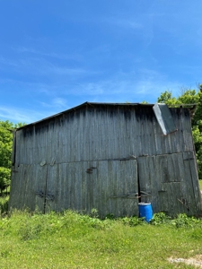 55.5 Surveyed Acres in Sneedville, TN For Sale - image 18