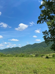 55.5 Surveyed Acres in Sneedville, TN For Sale - image 13