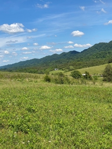 55.5 Surveyed Acres in Sneedville, TN For Sale - image 20