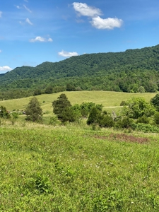 55.5 Surveyed Acres in Sneedville, TN For Sale - image 19