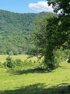 55.5 Surveyed Acres in Sneedville, TN For Sale - image 7