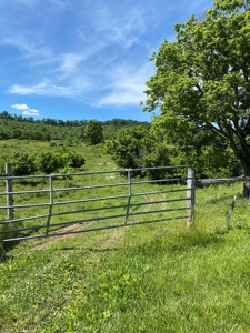 55.5 Surveyed Acres in Sneedville, TN For Sale - image 21
