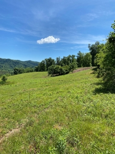 55.5 Surveyed Acres in Sneedville, TN For Sale - image 4