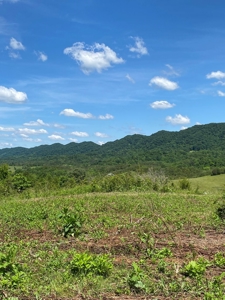 55.5 Surveyed Acres in Sneedville, TN For Sale - image 15