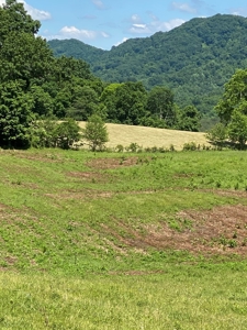 55.5 Surveyed Acres in Sneedville, TN For Sale - image 11