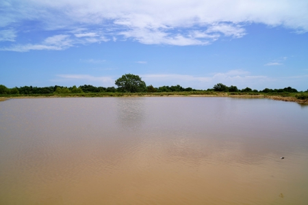 Central Oklahoma Ranch For Sale, Lincoln County - image 7