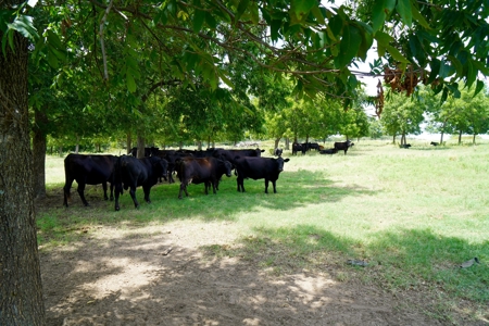 Central Oklahoma Ranch For Sale, Lincoln County - image 3