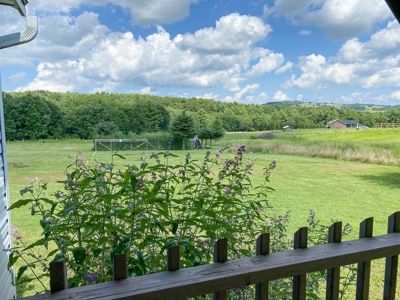 Sweet Country Home for Sale in Willis VA - image 6