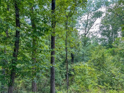 95 Acres Hunting Land for Sale in Hinds County, MS - image 17