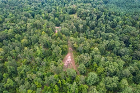 95 Acres Hunting Land for Sale in Hinds County, MS - image 8