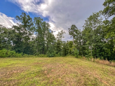 95 Acres Hunting Land for Sale in Hinds County, MS - image 37