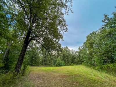 95 Acres Hunting Land for Sale in Hinds County, MS - image 28