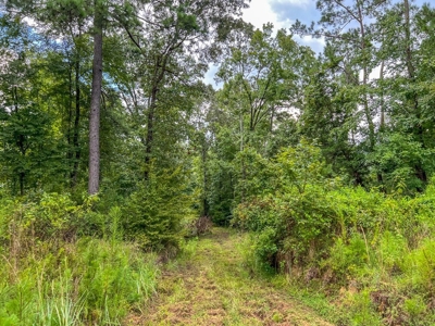 95 Acres Hunting Land for Sale in Hinds County, MS - image 15