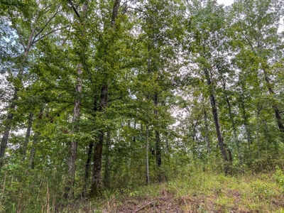 95 Acres Hunting Land for Sale in Hinds County, MS - image 34