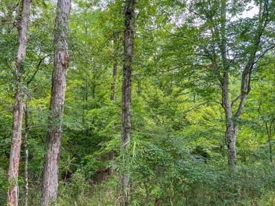 95 Acres Hunting Land for Sale in Hinds County, MS - image 20