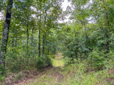 95 Acres Hunting Land for Sale in Hinds County, MS - image 33