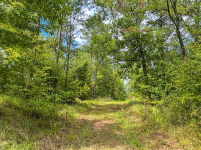 95 Acres Hunting Land for Sale in Hinds County, MS - image 42