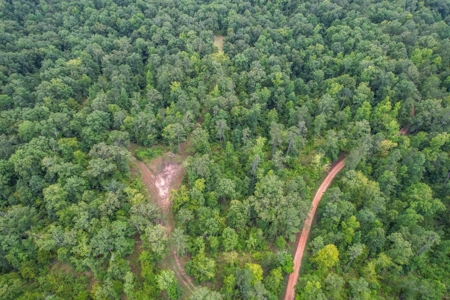 95 Acres Hunting Land for Sale in Hinds County, MS - image 9