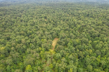 95 Acres Hunting Land for Sale in Hinds County, MS - image 10