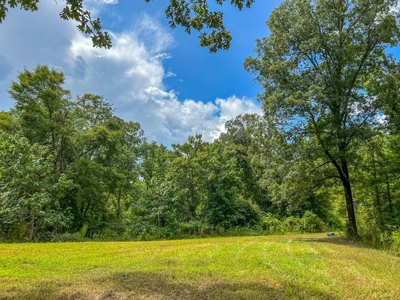 95 Acres Hunting Land for Sale in Hinds County, MS - image 41