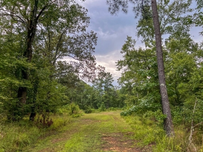 95 Acres Hunting Land for Sale in Hinds County, MS - image 13