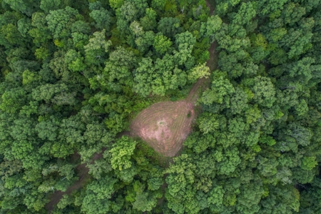 95 Acres Hunting Land for Sale in Hinds County, MS - image 3