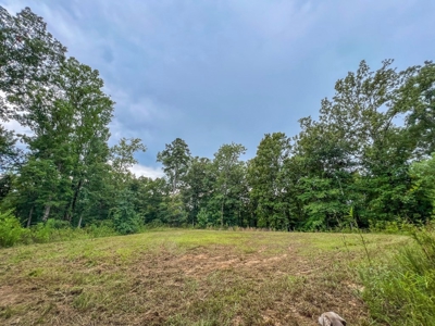 95 Acres Hunting Land for Sale in Hinds County, MS - image 36