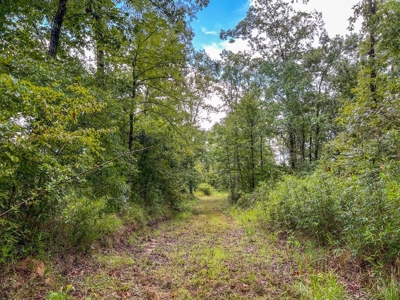95 Acres Hunting Land for Sale in Hinds County, MS - image 21