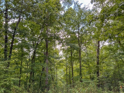 95 Acres Hunting Land for Sale in Hinds County, MS - image 31