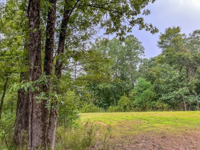 95 Acres Hunting Land for Sale in Hinds County, MS - image 30