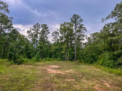 95 Acres Hunting Land for Sale in Hinds County, MS - image 14
