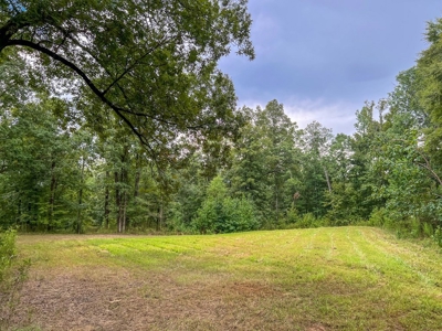 95 Acres Hunting Land for Sale in Hinds County, MS - image 27