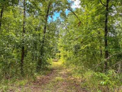 95 Acres Hunting Land for Sale in Hinds County, MS - image 40