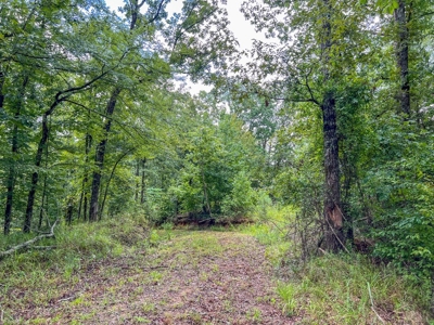 95 Acres Hunting Land for Sale in Hinds County, MS - image 16