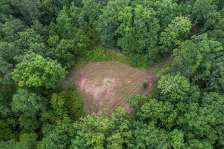 95 Acres Hunting Land for Sale in Hinds County, MS - image 2