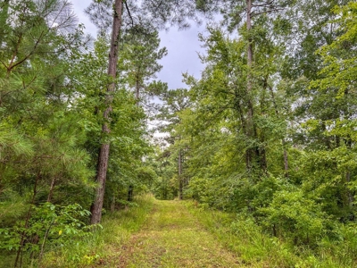 95 Acres Hunting Land for Sale in Hinds County, MS - image 23
