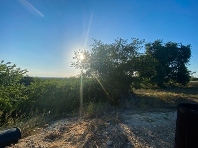 Land for Sale in Central Texas - image 12