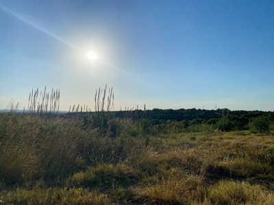 Land for Sale in Central Texas - image 21