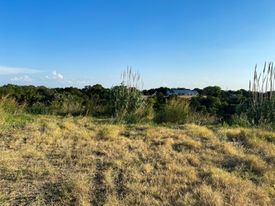 Land for Sale in Central Texas - image 14