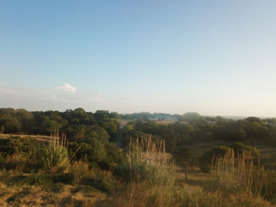 Land for Sale in Central Texas - image 10