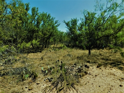 Lake Brownwood  Lot for Sale - image 6